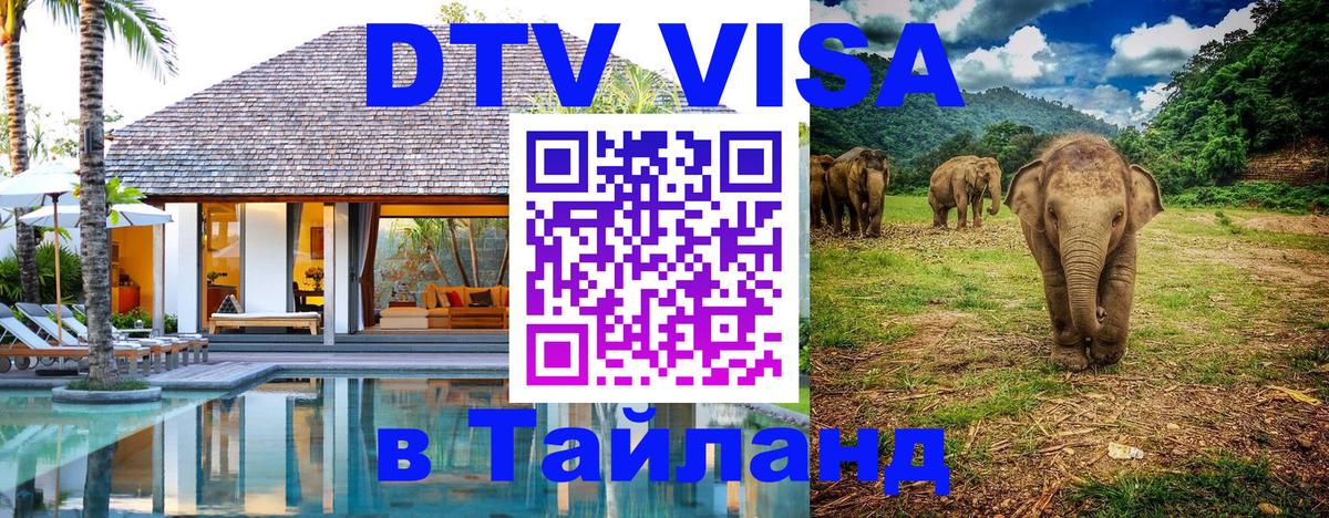 Оформление DTV визы под ключ: стоимость и тарифы, только загранпаспорт - 05.10.2025 